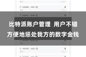 比特派账户管理 用户不错方便地惩处我方的数字金钱
