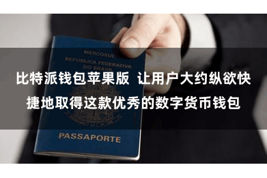 比特派钱包苹果版  让用户大约纵欲快捷地取得这款优秀的数字货币钱包