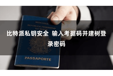 比特派私钥安全  输入考据码并建树登录密码