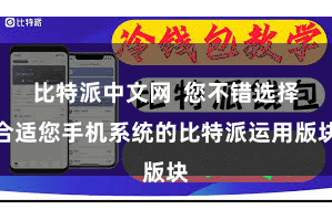 比特派中文网  您不错选择合适您手机系统的比特派运用版块
