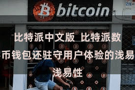 比特派中文版  比特派数字币钱包还驻守用户体验的浅易性