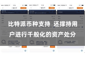 比特派币种支持  还撑持用户进行千般化的资产处分