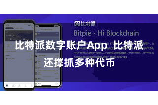比特派数字账户App  比特派还撑抓多种代币